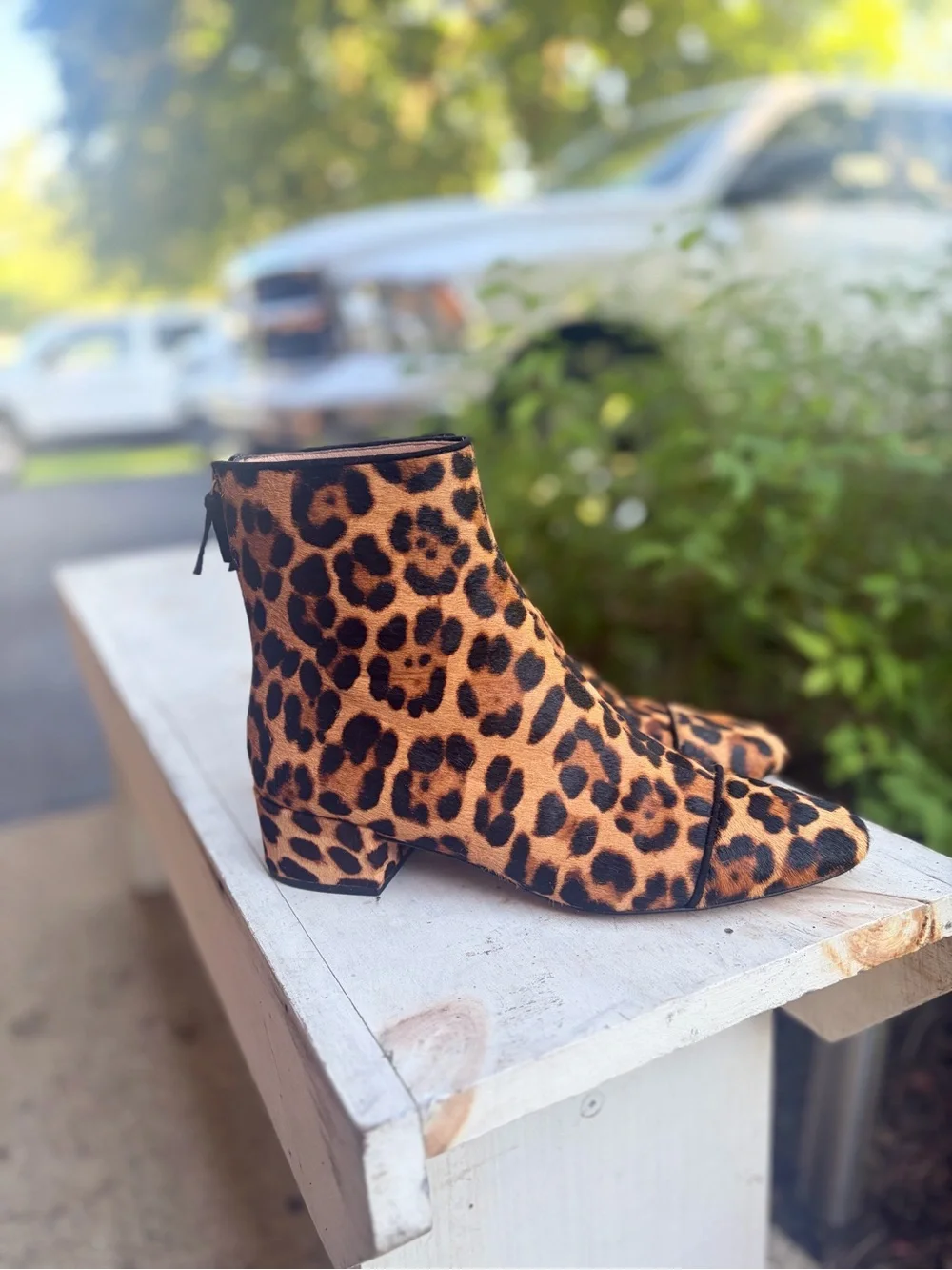 J.Crew – Ankle Boots – Roxie Cap-Toe Ankle Boots in Calf Hair – Leopard – Sz. 8.